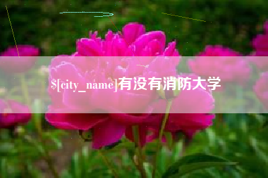 宝应县有没有消防大学
