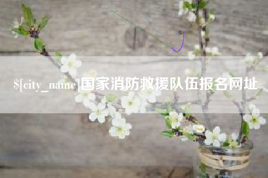宝应县国家消防救援队伍报名网址