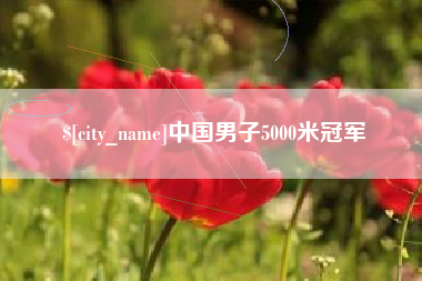 宝应县中国男子5000米冠军