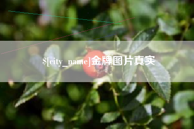 宝应县金牌图片真实