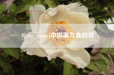 宝应县中国第九金回放