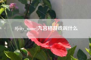 宝应县九宫格游戏叫什么