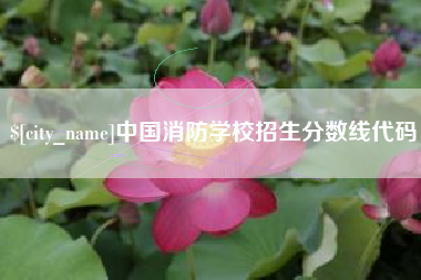宝应县中国消防学校招生分数线代码