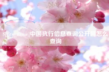 宝应县中国执行信息查询公开网怎么查询