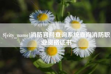 宝应县消防官网查询系统查询消防职业资格证书
