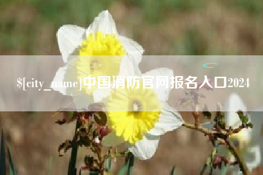 宝应县中国消防官网报名入口2024