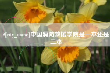 宝应县中国消防救援学院是一本还是二本