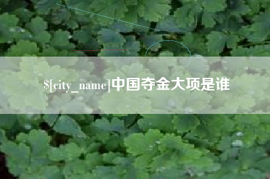 宝应县中国夺金大项是谁