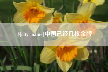 宝应县中国已经几枚金牌