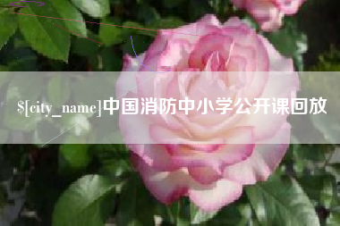 宝应县中国消防中小学公开课回放
