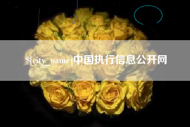宝应县中国执行信息公开网