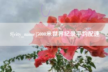 宝应县5000米世界纪录平均配速