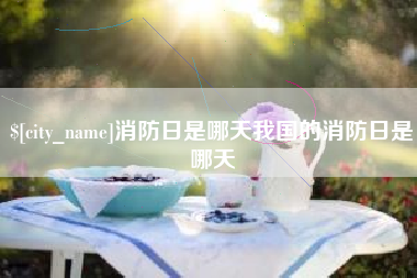 宝应县消防日是哪天我国的消防日是哪天