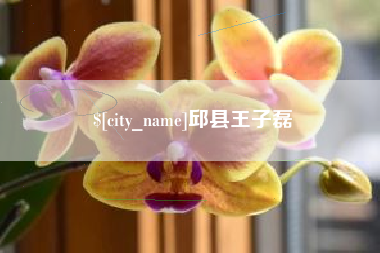 宝应县邱县王子磊