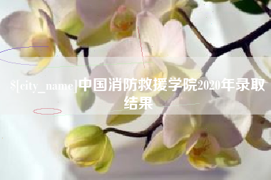 宝应县中国消防救援学院2020年录取结果