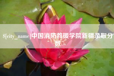 宝应县中国消防救援学院新疆录取分数