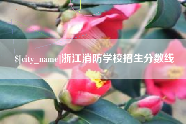 宝应县浙江消防学校招生分数线