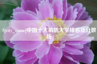 宝应县中国十大消防大学排名及分数线