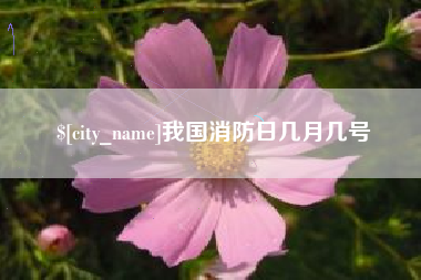 宝应县我国消防日几月几号