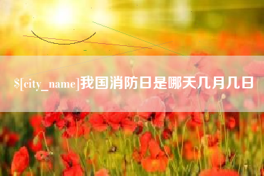 宝应县我国消防日是哪天几月几日