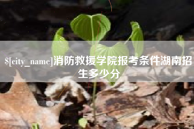宝应县消防救援学院报考条件湖南招生多少分
