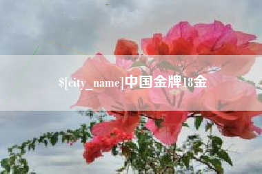 宝应县中国金牌18金