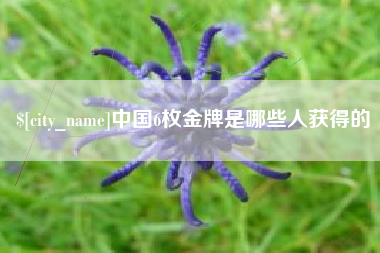 宝应县中国6枚金牌是哪些人获得的