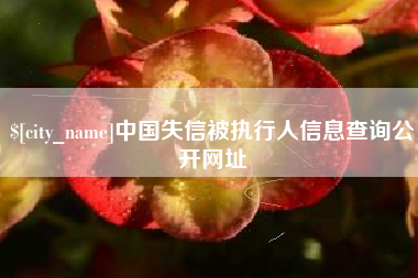 宝应县中国失信被执行人信息查询公开网址