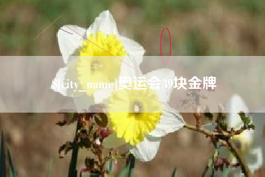 宝应县奥运会39块金牌