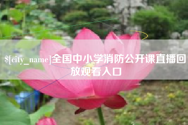 宝应县全国中小学消防公开课直播回放观看入口