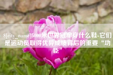 宝应县5000米世界冠军穿什么鞋-它们是运动员取得优异成绩背后的重要“功臣”