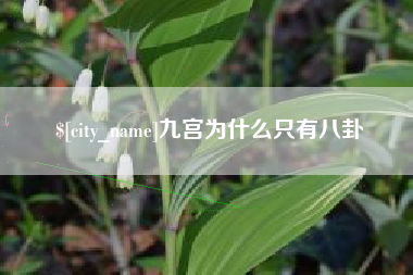 宝应县九宫为什么只有八卦