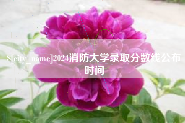 宝应县2024消防大学录取分数线公布时间