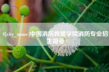宝应县中国消防救援学院消防专业招生简章