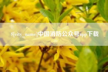 宝应县中国消防公众号app下载