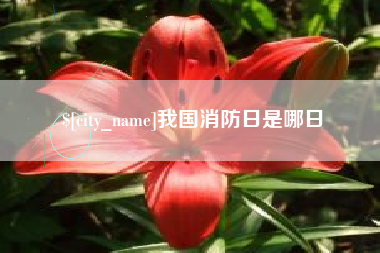 宝应县我国消防日是哪日