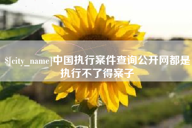 宝应县中国执行案件查询公开网都是执行不了得案子