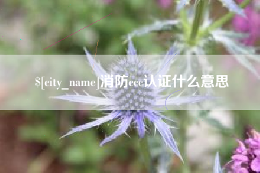 宝应县消防ccc认证什么意思