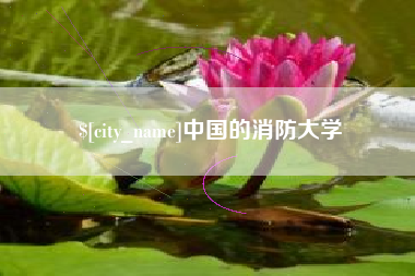 宝应县中国的消防大学