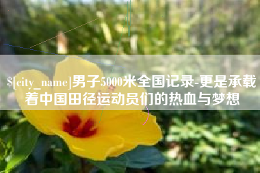宝应县男子5000米全国记录-更是承载着中国田径运动员们的热血与梦想