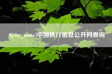 宝应县中国执行信息公开网查询