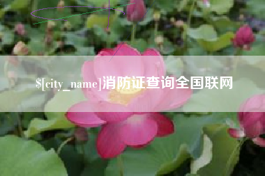 宝应县消防证查询全国联网