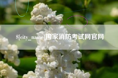 宝应县国家消防考试网官网