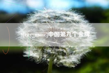 宝应县中国第九个金牌