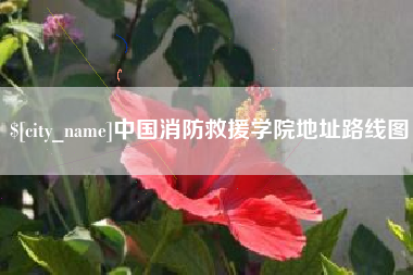 宝应县中国消防救援学院地址路线图