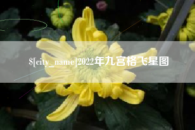 宝应县2022年九宫格飞星图