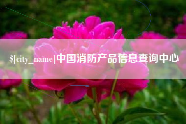 宝应县中国消防产品信息查询中心