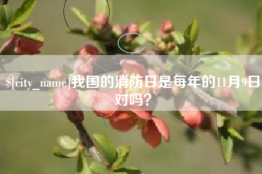 宝应县我国的消防日是每年的11月9日对吗？