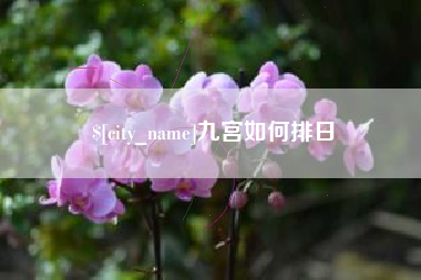 宝应县九宫如何排日