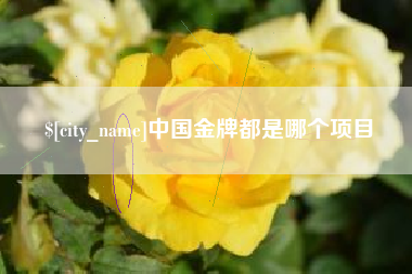 宝应县中国金牌都是哪个项目